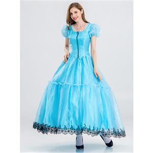Women's Cinderella Princess Adult Costume N14733
