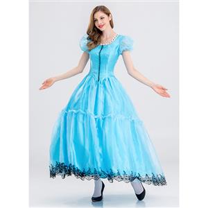 Women's Cinderella Princess Adult Costume N14733