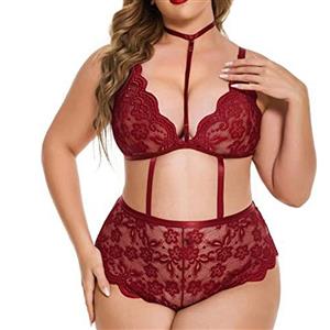 Plus Size Sexy See-through Lace Plunging Neckline Backless Bodysuit Teddies Lingerie N23181
