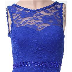 Hot Sexy Royalblue Lace Sleeveless Long Evening Party Gown N11134