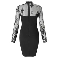 Black Lace Long Sleeve Bodycon Dress N12640