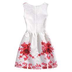 Little Girls' Sleeveless Vintage Floral Print Casual Swing Dress N15467