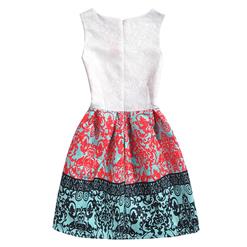 Little Girls' Sleeveless Vintage Red Floral Print Casual Swing Dress N15468