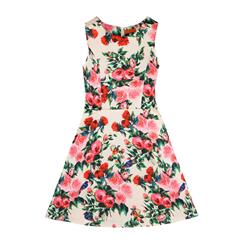 Girl's Vintage Sleeveless Round Collar Elegant Floral Print Swing Dress N15476