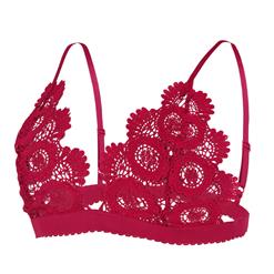 Sexy Charming Wine Red Spaghetti Strap Hollow Out Crochet Lace Lingerie Bra N16474