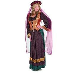 Adult Velvet Medieval Maiden Costume N5818
