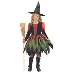 Witch fairy fancy dress costume N5967