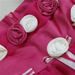 Beautiful Flower Silk Ribbon Princess Dress N9481