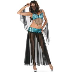 Arabian Dancer Costume, Harem Belly Dancer Costume, Belly Dancer Costume, #C2785