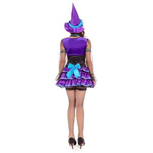 Women's Adult Purple Witch Halloween Costume N14623