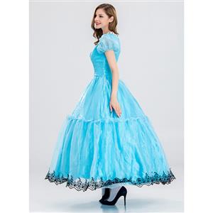 Women's Cinderella Princess Adult Costume N14733