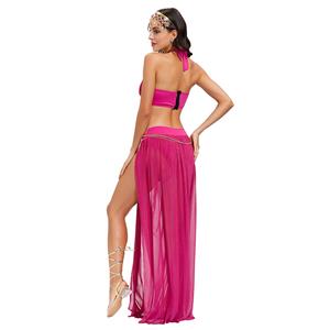 Sexy Womens Adult Belly Dance Bra and Chiffon Skirts Dancing Outfit Carnival Costume N20599