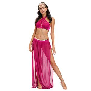 Sexy Womens Adult Belly Dance Bra and Chiffon Skirts Dancing Outfit Carnival Costume N20599