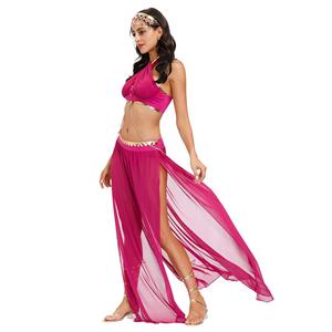 Sexy Womens Adult Belly Dance Bra and Chiffon Skirts Dancing Outfit Carnival Costume N20599