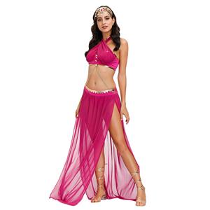 Sexy Womens Adult Belly Dance Bra and Chiffon Skirts Dancing Outfit Carnival Costume N20599