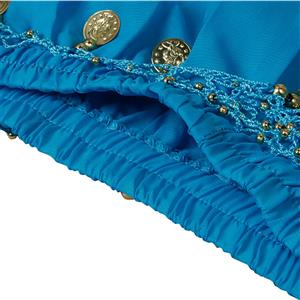 5Pcs Sexy Blue Adult Belly Dance Persia Dancer Costume The Lamp Elves Costume N22832