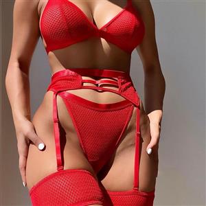 Sexy Hanging Neck Bra and Thong Lingerie with Garters and Leg Ring N22394