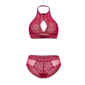Sexy Sheer Floral Lace Halterneck Cut-out Bra and Panty Stretchy Lingerie Set N19173
