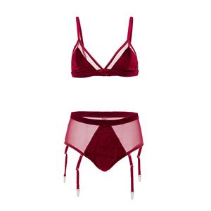 Charming Sheer Mesh Spaghetti Straps Bra and Panty Lingerie with Garters N19170