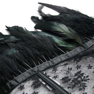 Victorian Gothic Black Feather High Neck Cape Sheer Floral Mesh Corset Shrug N19113