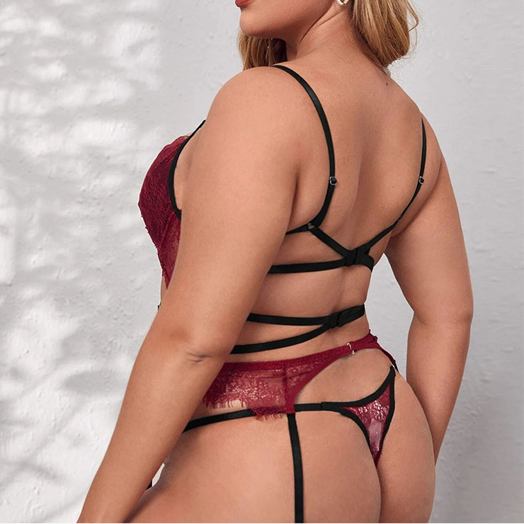 Plus Size Sexy See-through Lace Strappy Bra and Thong High Waist Lingerie with Garters N22219