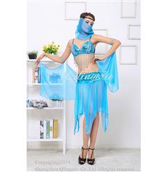 Deluxe Arabian Dancer Costume C6310