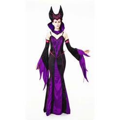 Deluxe Fairytale Witch Costume N10610