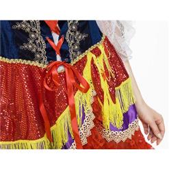 Good Fortune Teller Elite Gypsy Costume N10795