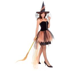 Women's Adult Black Witch Halloween Costume N14622