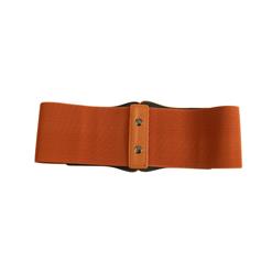 Fashion Brown Leather Stretch Waistband High Waisted Cincher Corset Belt N14794