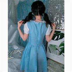 2Pcs Lovely Lolita Adult Maid Fancy Dress Cosplay Costume N17038