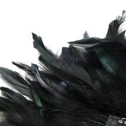 Victorian Gothic Black Feather High Neck Sheer Long Mesh Cape Corset Shrug N19597