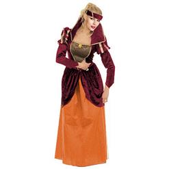 Women's Adult Renaissance Poor Long Sleeve Maxi Costume Outfit N5568