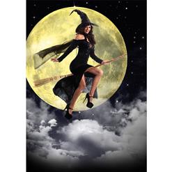 Sultry Sorceress Costume N9153