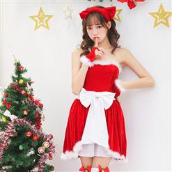 Women's Adult Santa Mini Dress Christmas Costume XT15258