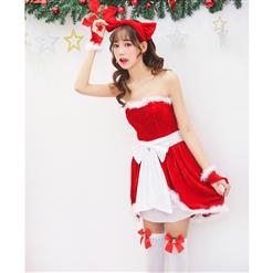 Women's Adult Santa Mini Dress Christmas Costume XT15258