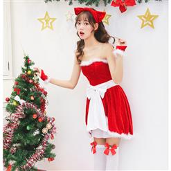 Women's Adult Santa Mini Dress Christmas Costume XT15258