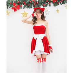 Women's Adult Santa Mini Dress Christmas Costume XT15258