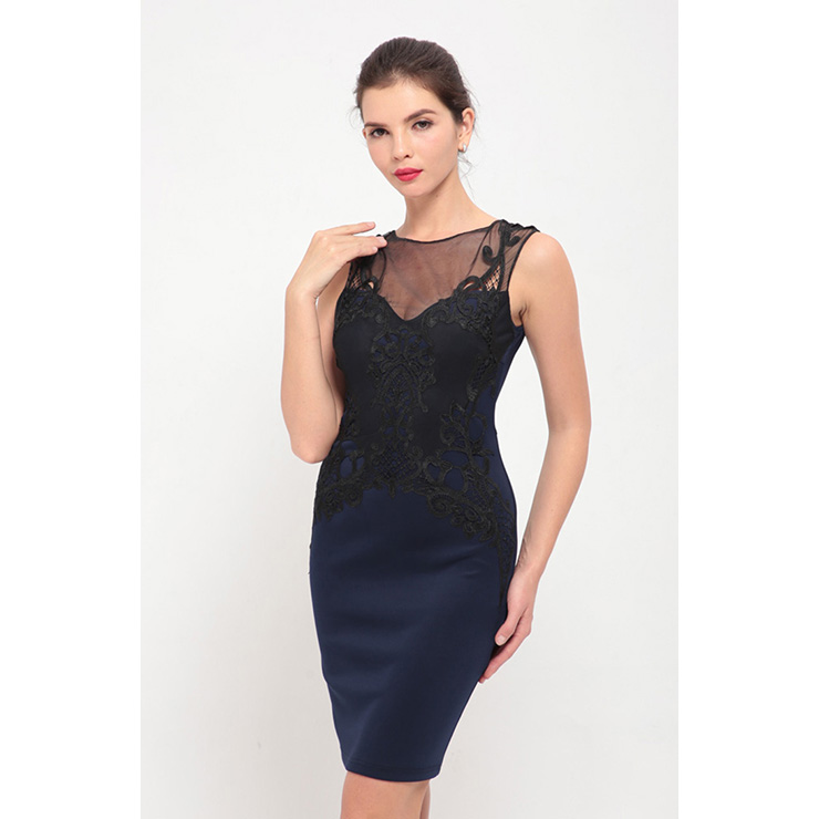 Elegant Floral Lace Sleeveless Bodycon Dress N12639
